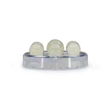BLGSN42 G front1 faipo