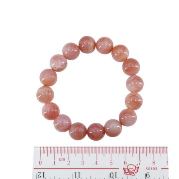 BRAGBRD301212 front2 faipo