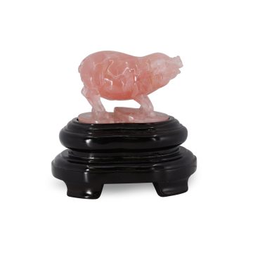 CVRQZ318 G front3 faipo