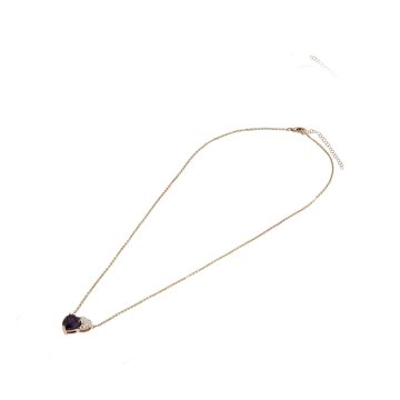 MN811078 K 1 front2 faipo